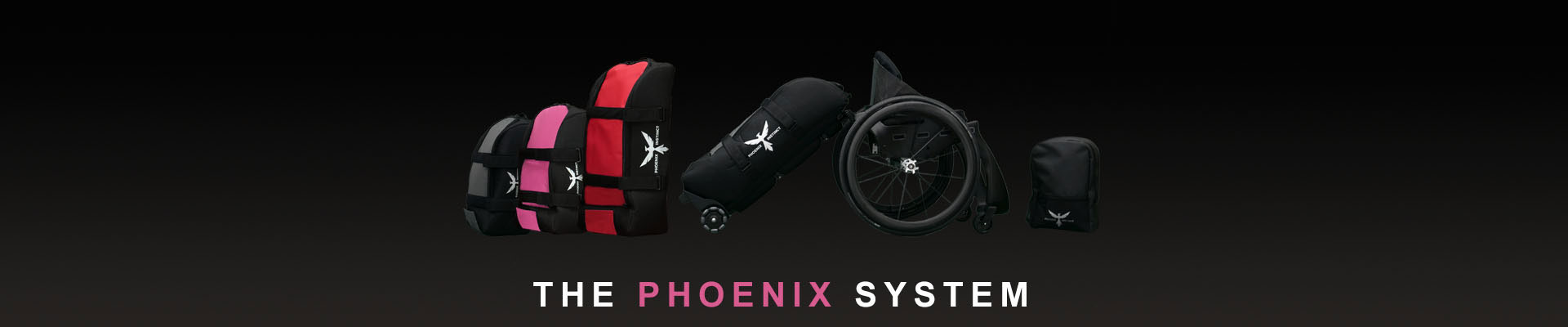 Phoenix System